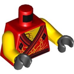 LEGO® - 6287888