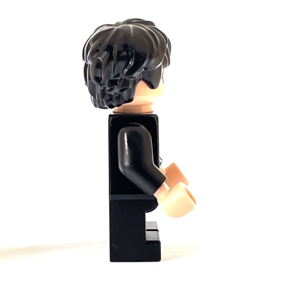 LEGO hp314 Harry Potter - ALETUU.FI